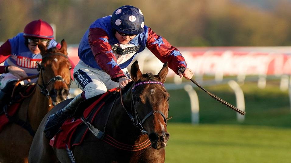 Stayers' Hurdle favourite Paisley Park
